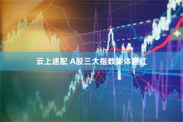 云上速配 A股三大指数集体翻红