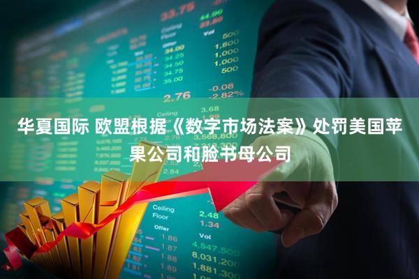 华夏国际 欧盟根据《数字市场法案》处罚美国苹果公司和脸书母公司