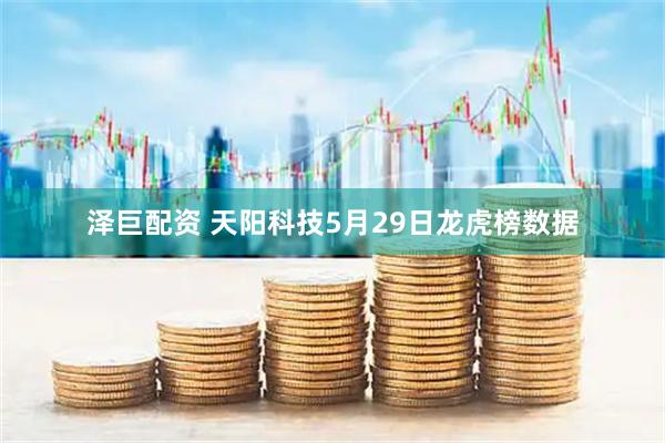 泽巨配资 天阳科技5月29日龙虎榜数据