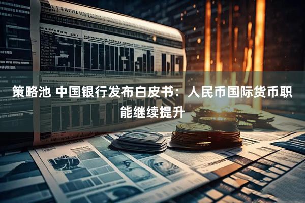 策略池 中国银行发布白皮书：人民币国际货币职能继续提升