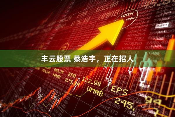 丰云股票 蔡浩宇，正在招人