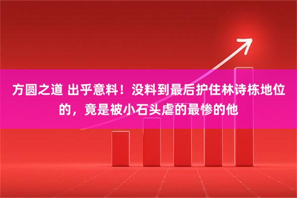 方圆之道 出乎意料！没料到最后护住林诗栋地位的，竟是被小石头虐的最惨的他