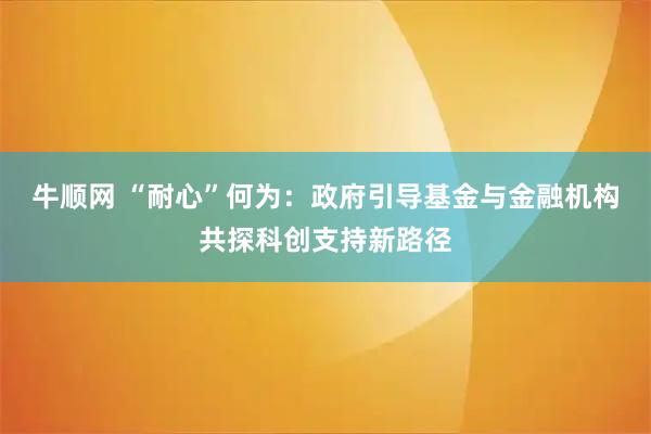牛顺网 “耐心”何为：政府引导基金与金融机构共探科创支持新路径